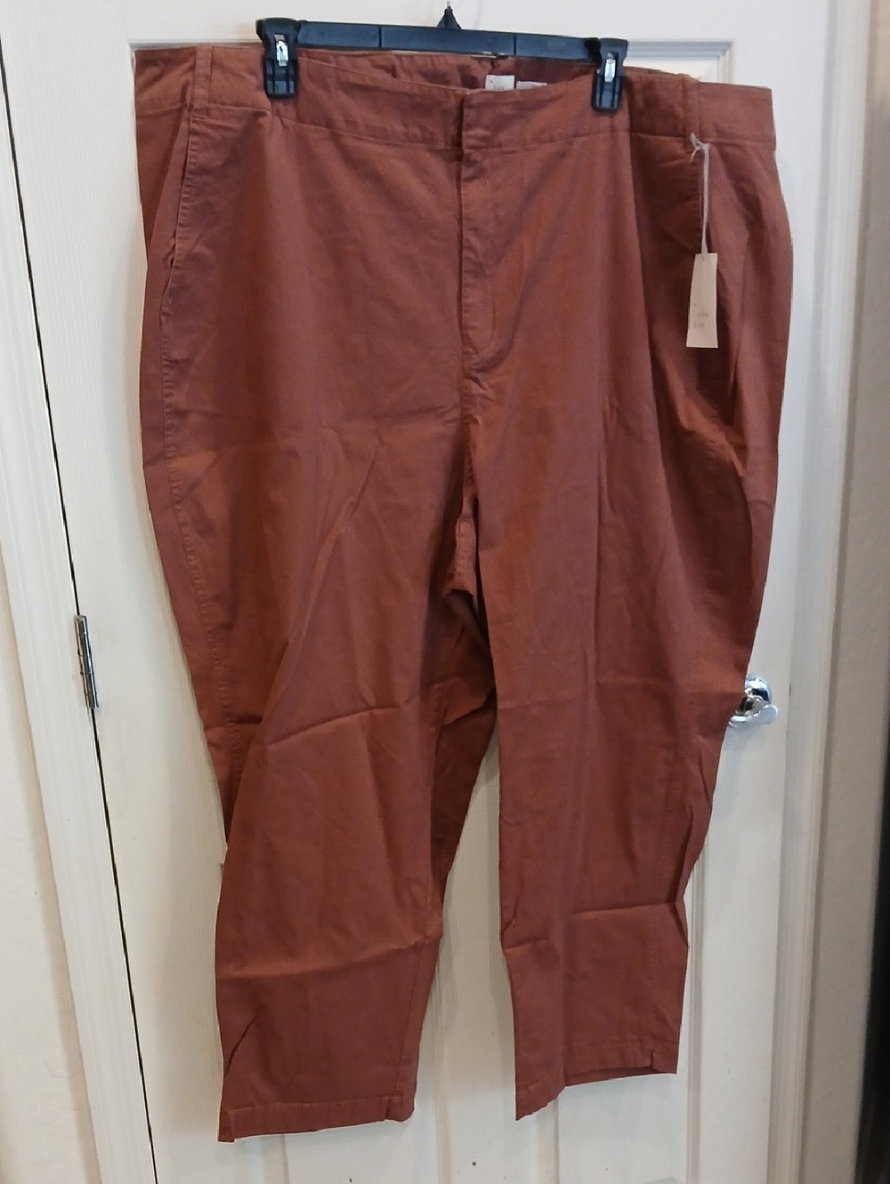 Women's Chino Pants in Rust Brown